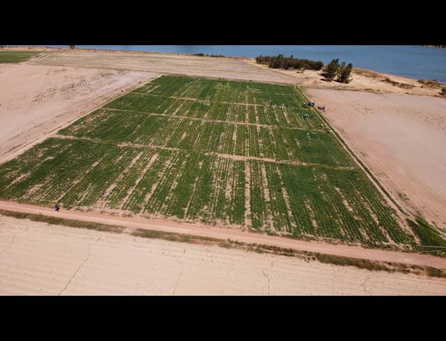 16.70HA FARM FOR SALE IN PAARL RURAL